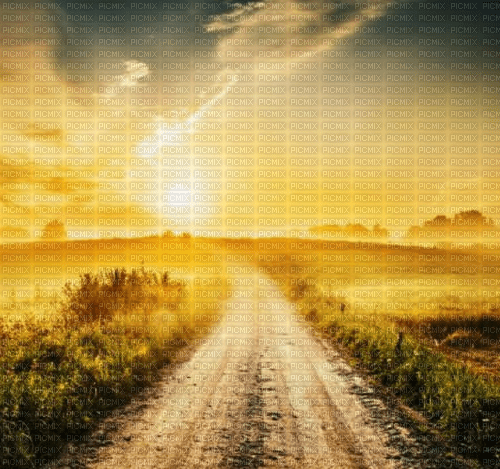 Rena Hintergrund Background, weg Sonne - kostenlos png