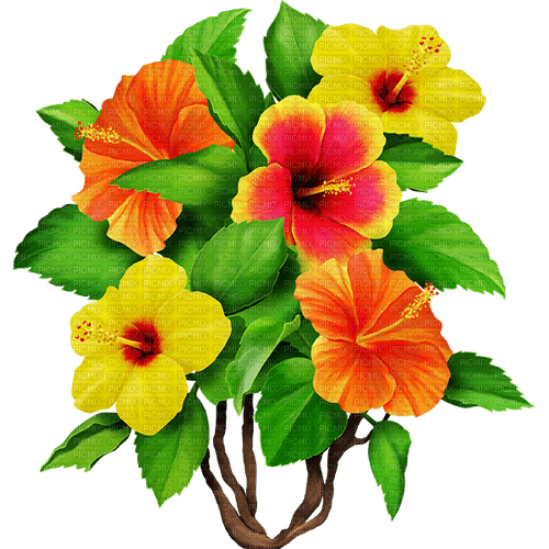 Flowers.Pink.Orange.Yellow - PNG gratuit