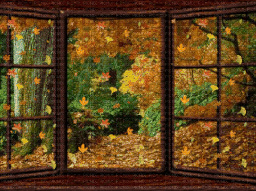 window fall - Darmowy animowany GIF