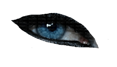 eyes-Nitsa 3 - PNG gratuit