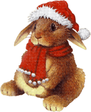 Conejo en navidad - ilmainen png