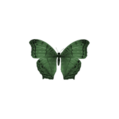 Tube Scrap-Décoration Papillon - 免费PNG