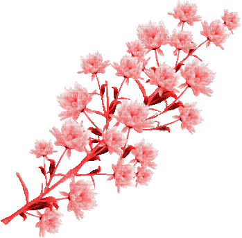 Vanessa Valo _crea=colorful flower - Animovaný GIF zadarmo