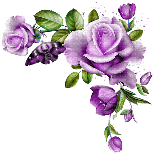Roses.Butterfly.Purple - PNG gratuit