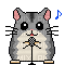 Chant d' hamster - 無料のアニメーション GIF