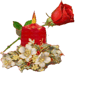 Rose candle - Darmowy animowany GIF