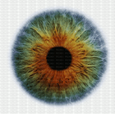 eye - Ücretsiz animasyonlu GIF