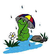 Rana con paraguas - Nemokamas animacinis gif
