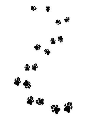 paws - Free PNG