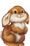 Animated Bunny - GIF animé gratuit