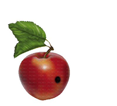 pomme ver-worm apple, tube , gif , animation , fond , image , déco , pomme  , fruit , ver , worm , apple , nature , arbre , été , sun ,