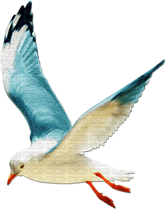 soave deco summer bird blue - PNG gratuit