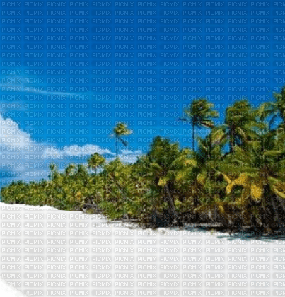Insel - Free PNG