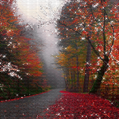 kikkapink autumn animated background - Bezmaksas animēts GIF