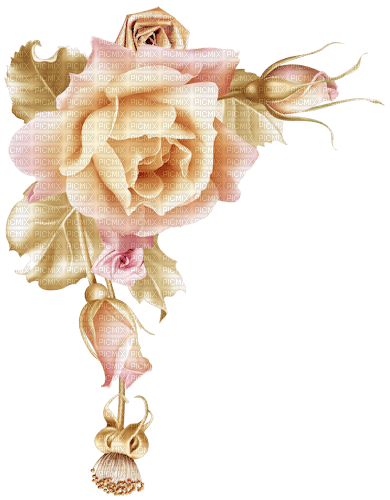 Rose Decoration - bezmaksas png