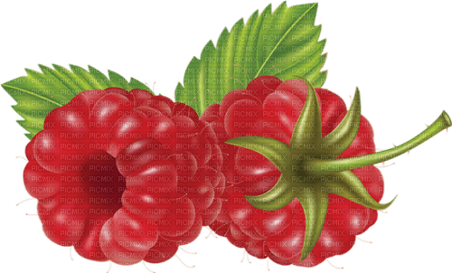 raspberry Bb2 - kostenlos png