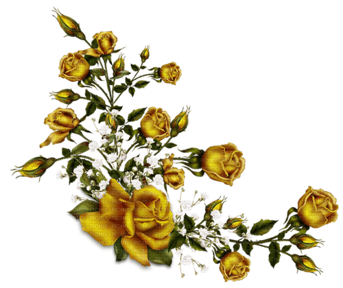 gold rose  dubravka4 - besplatni png