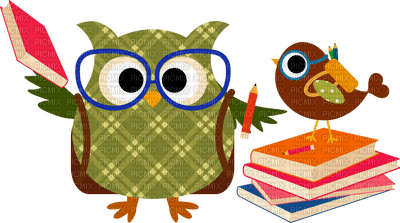 Kaz_Creations Birds Bird Owls Owl - 免费PNG