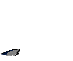 Delfin - Bezmaksas animēts GIF