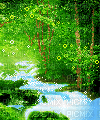 pixel forest woods - Zdarma animovaný GIF