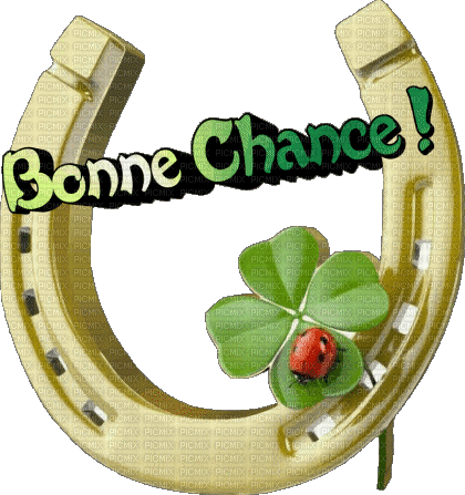 Bonne Chance - Δωρεάν κινούμενο GIF