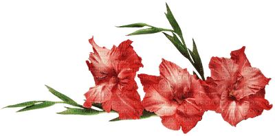 Fleurs rose - Free PNG