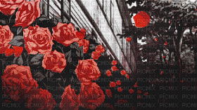 MMarcia gif rosas red fond - Bezmaksas animēts GIF