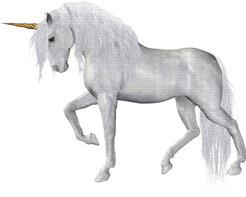 Einhorn unicorn - ingyenes png
