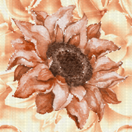 Je / hintergrund.anim.flower.tournesol.beige.idca - Free animated GIF