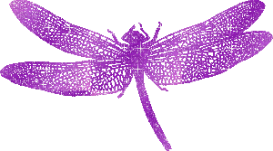 dragonfly - Darmowy animowany GIF