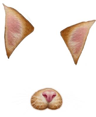 Snap Chat Cat - png grátis
