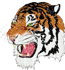 glitters tigre - GIF animado grátis