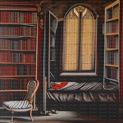 Red & Black Library Dorm - бесплатно png