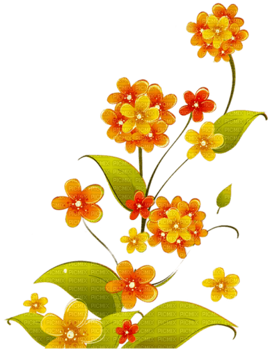 blume flowers - бесплатно png