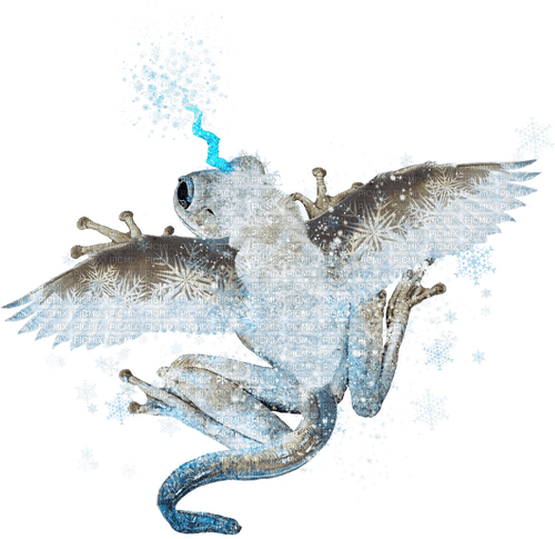 winter frog dragon - 免费PNG