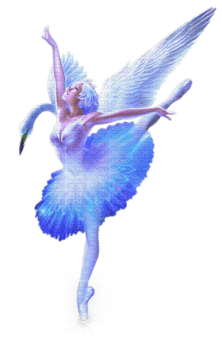swan fantasy - безплатен png