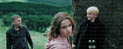 hermione cogne dans "harry potter" - GIF animé gratuit