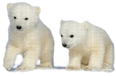 polar bear - png gratuito