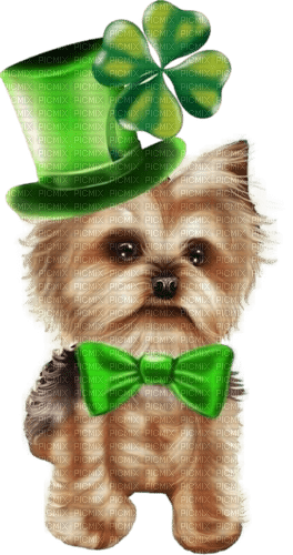 chien Saint-Patrick - zdarma png