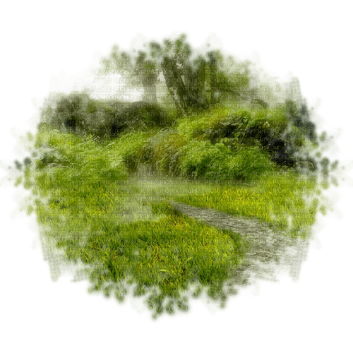 landskap-skog--träd----landscape - PNG gratuit