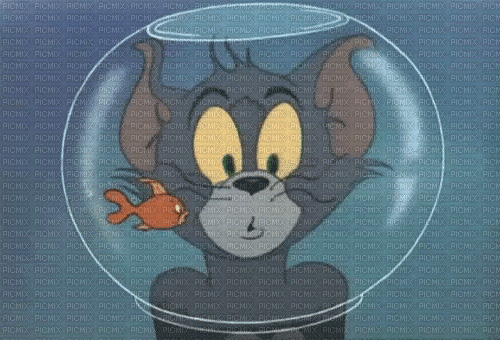 Tom and fish - Бесплатный анимированный гифка