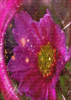 Flowers - Darmowy animowany GIF