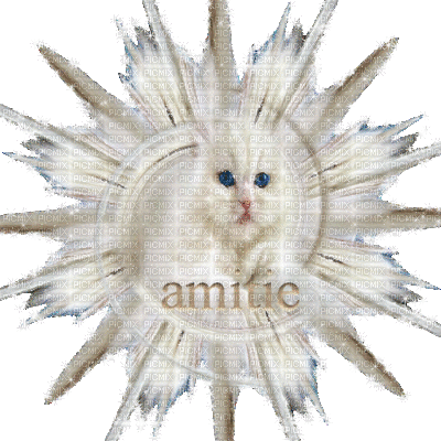 chat d'amitié - Free animated GIF