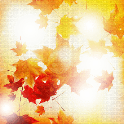 fond autumn automne - gratis png