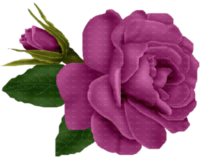 Kaz_Creations Deco Flower  Colours - ilmainen png