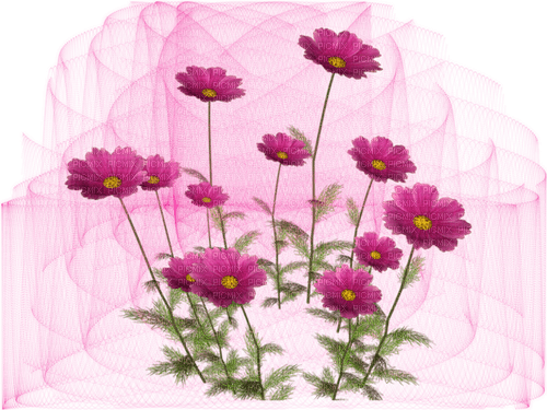 blommor-flowers-pink--rosa-sinedot - Free PNG