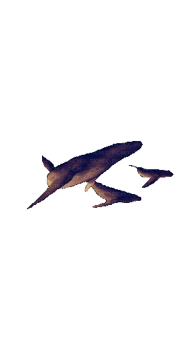 Рыба - Free animated GIF