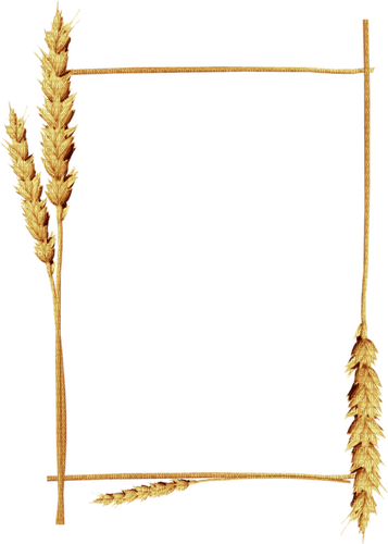 Wheat.Blè.Cadre.Frame.Victoriabea - Free PNG