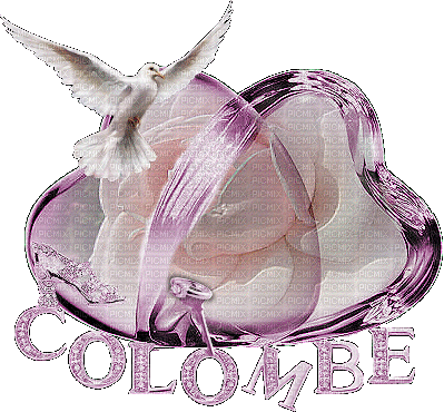 colombe - Animovaný GIF zadarmo