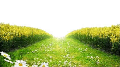 landscape, spring - безплатен png